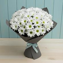 Букет цветов из:  Хризантемы #REPLACE_PRED# Карате
