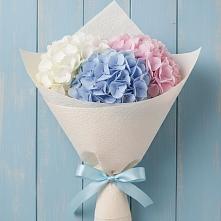 Букет цветов из:  Гортензия в Карате