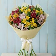Букет цветов из:  Альстромерии #REPLACE_PRED# Карате