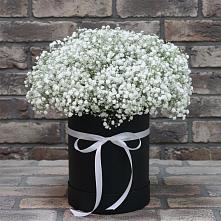 Цветочная композиция из Гипсофила в шляпной коробке #REPLACE_PRED# Карате