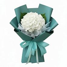 Букет цветов из:  Гортензия в Карате